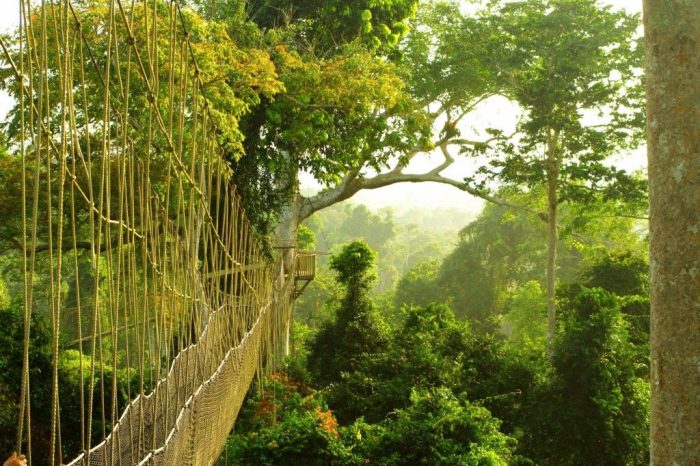 Eco-Adventure Tour